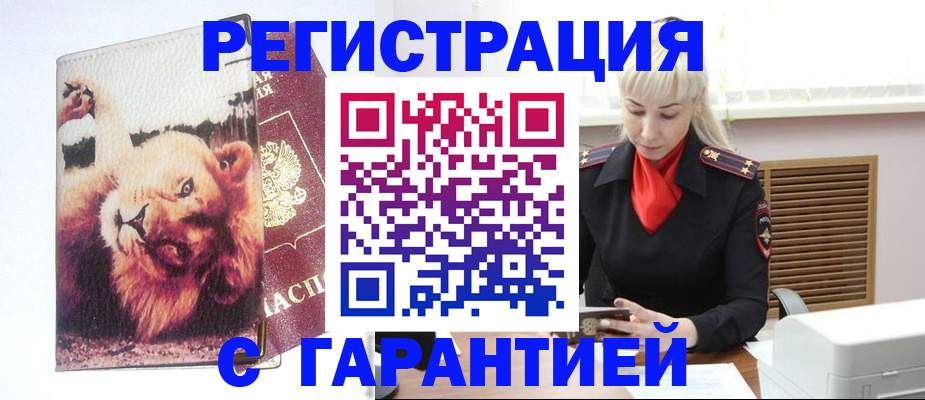 прописка от собственника в Шилке